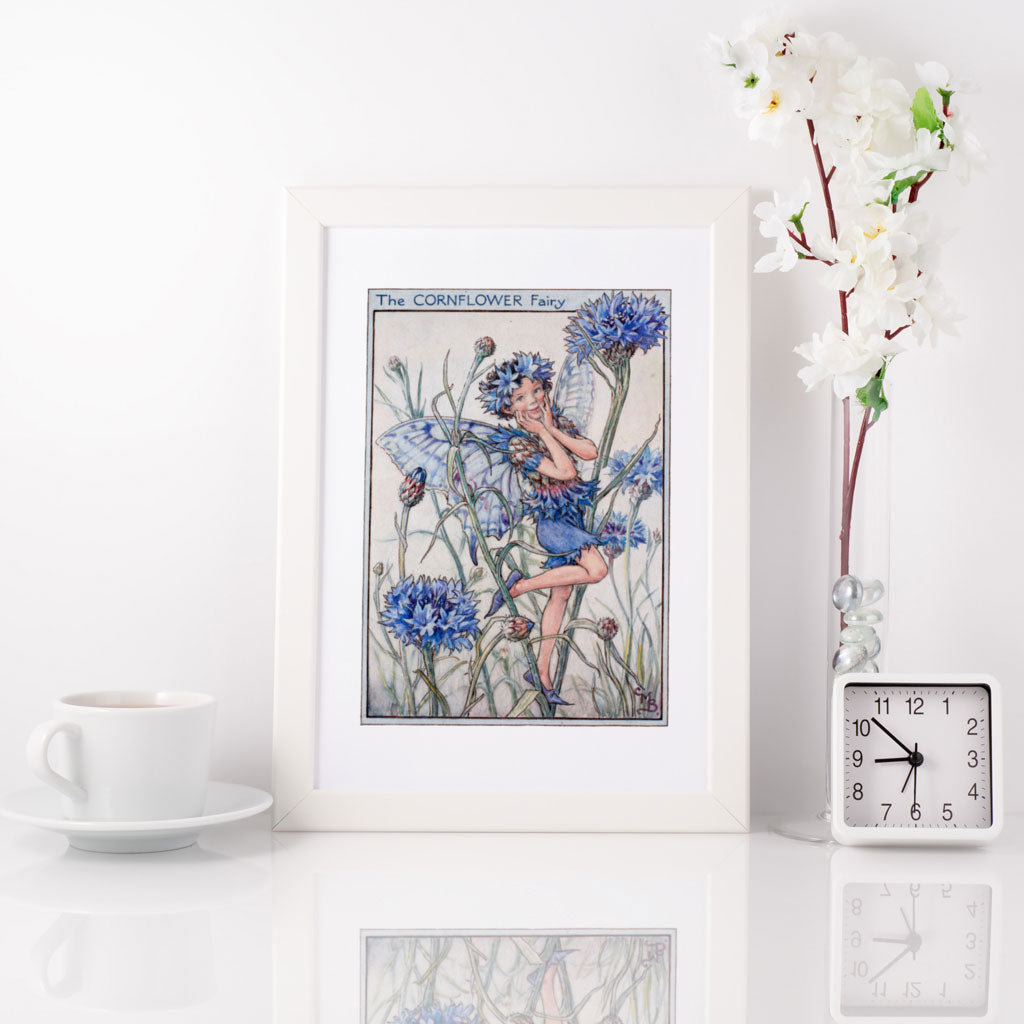 The Cornflower Fairy 11x14" Art Print