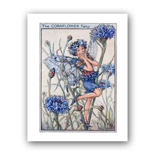 The Cornflower Fairy 11x14" Art Print