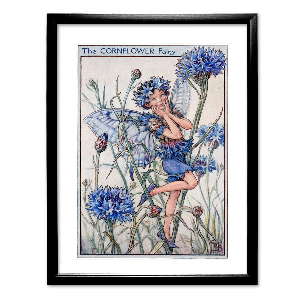 The Cornflower Fairy 11x14" Art Print