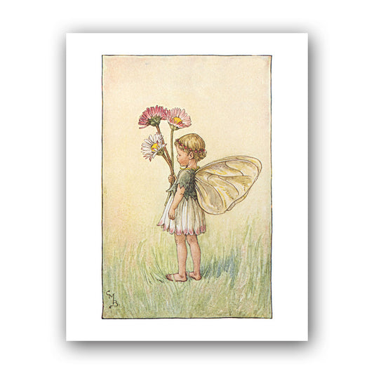 The Daisy Fairy 11x14" Art Print