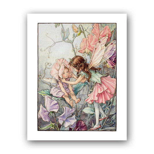 The Sweet Pea Fairies 11x14" Art Print
