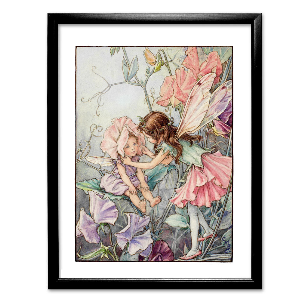 The Sweet Pea Fairies 11x14" Art Print