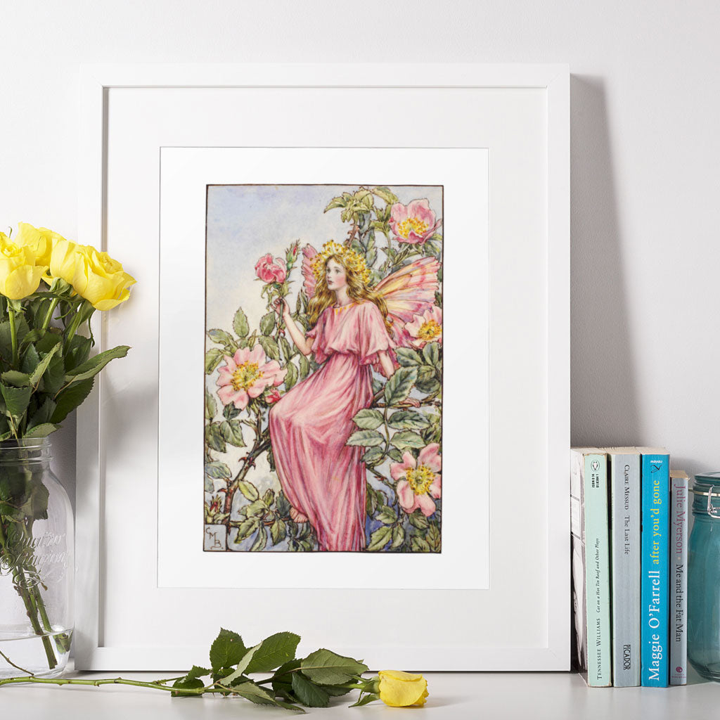 The Wild Rose Fairy 11x14" Art Print