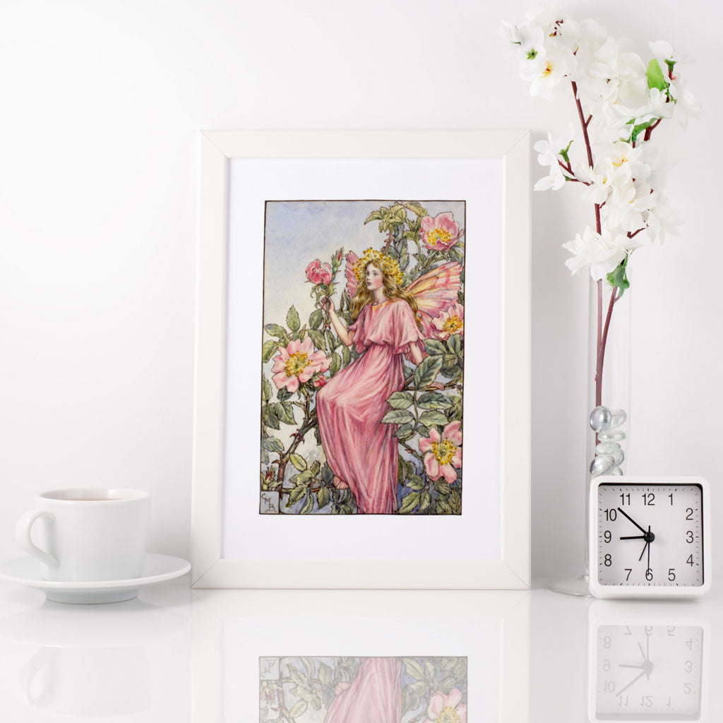 The Wild Rose Fairy 11x14" Art Print