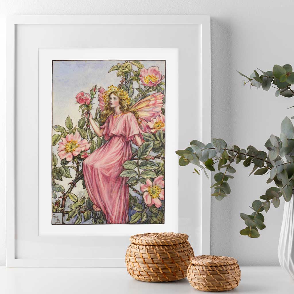 The Wild Rose Fairy 11x14" Art Print