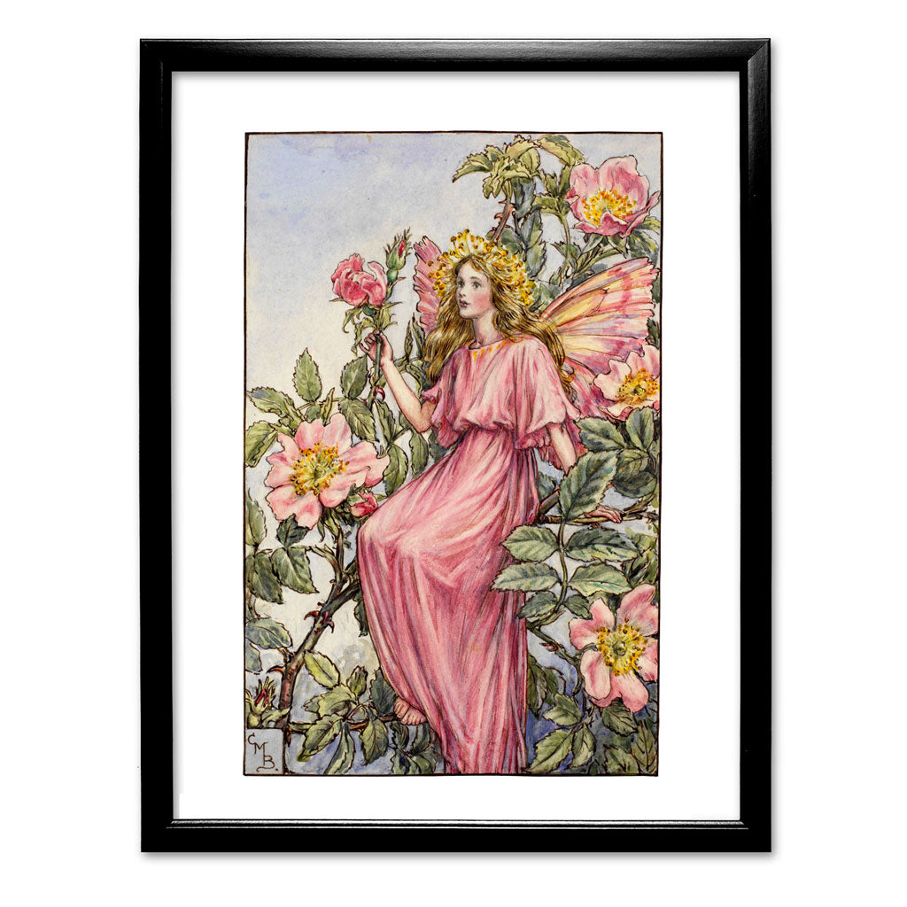 The Wild Rose Fairy 11x14" Art Print