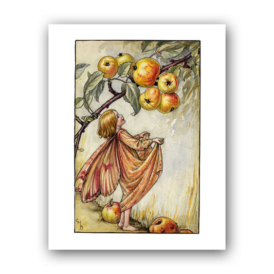 The Crab Apple Fairy 11x14" Art Print