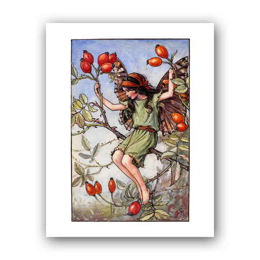 The Rose-Hip Fairy 11x14" Art Print