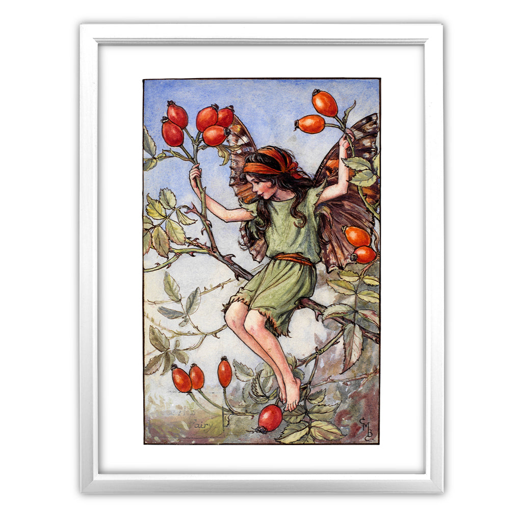 The Rose-Hip Fairy 11x14" Art Print
