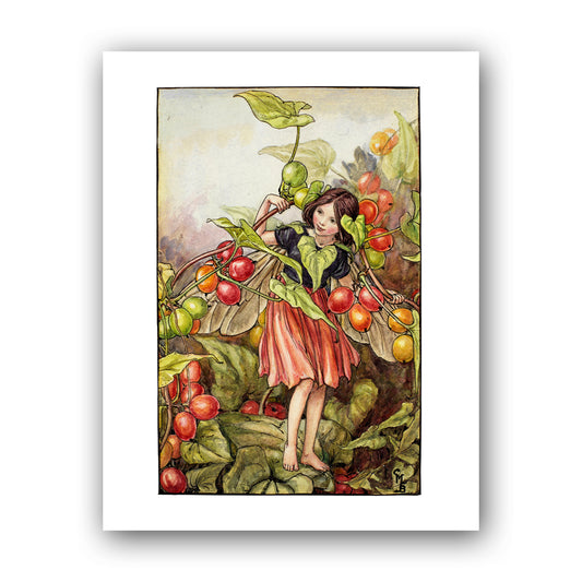 The Black Bryony Fairy  11x14" Art Print