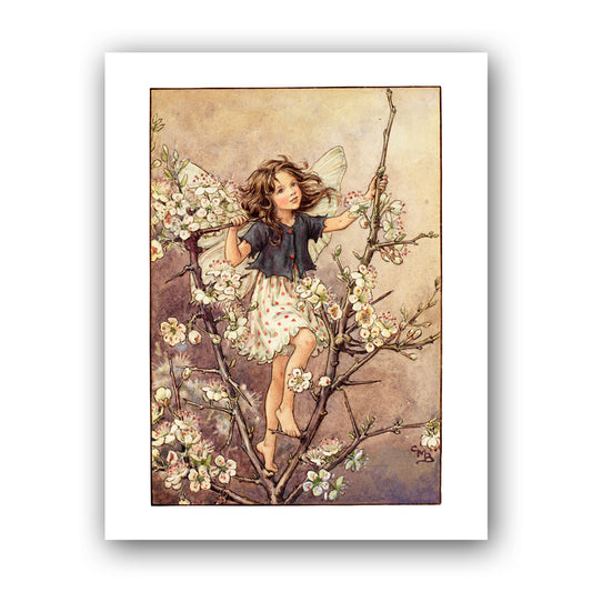 The Blackthorn Fairy 11x14" Art Print