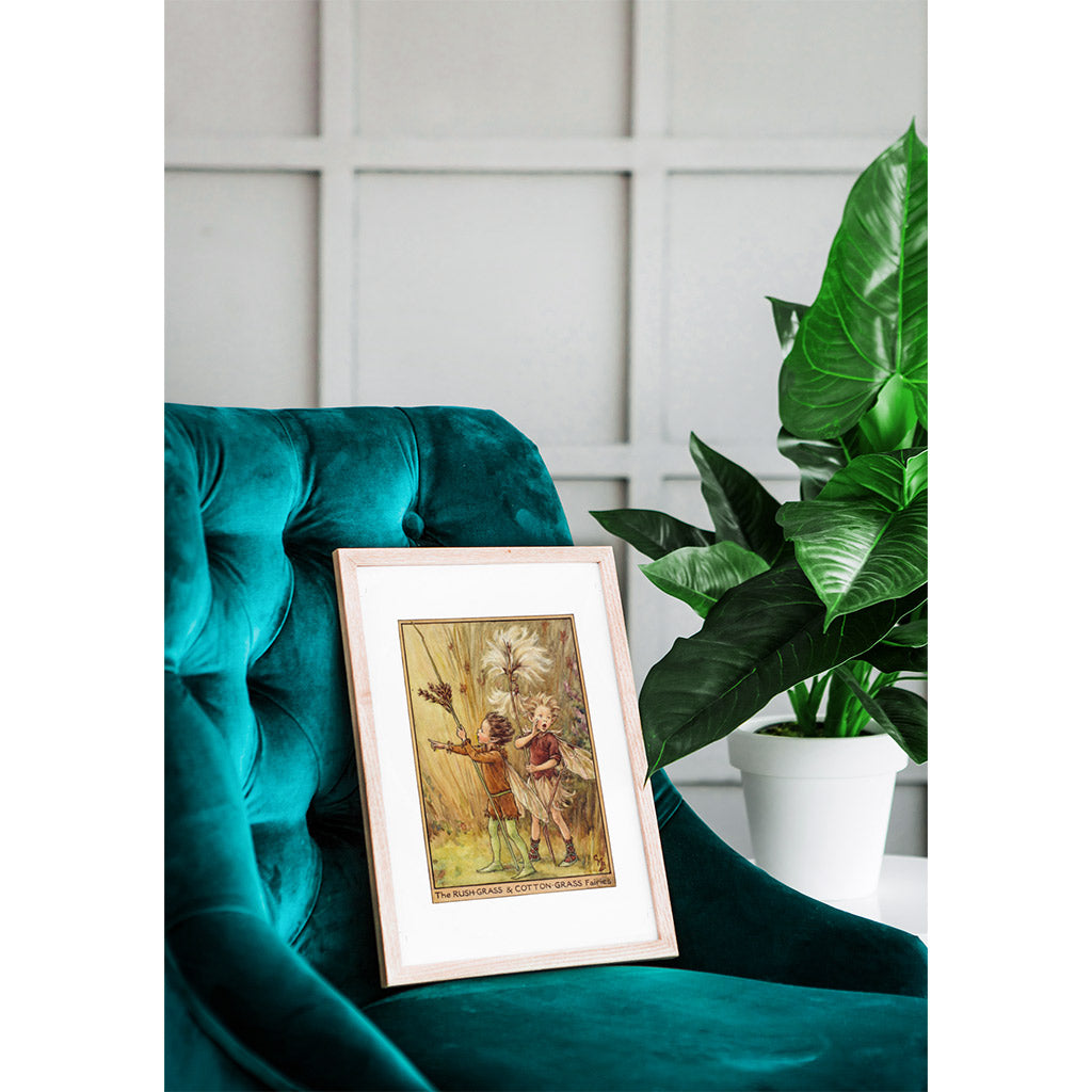 The Rush-Grass & Cotton-Grass Fairies 11x14" Art Print