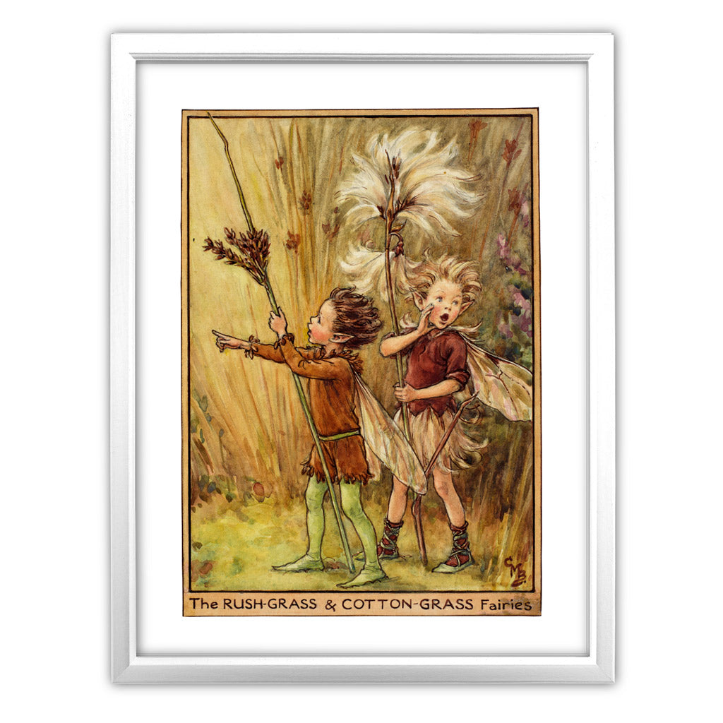 The Rush-Grass & Cotton-Grass Fairies 11x14" Art Print