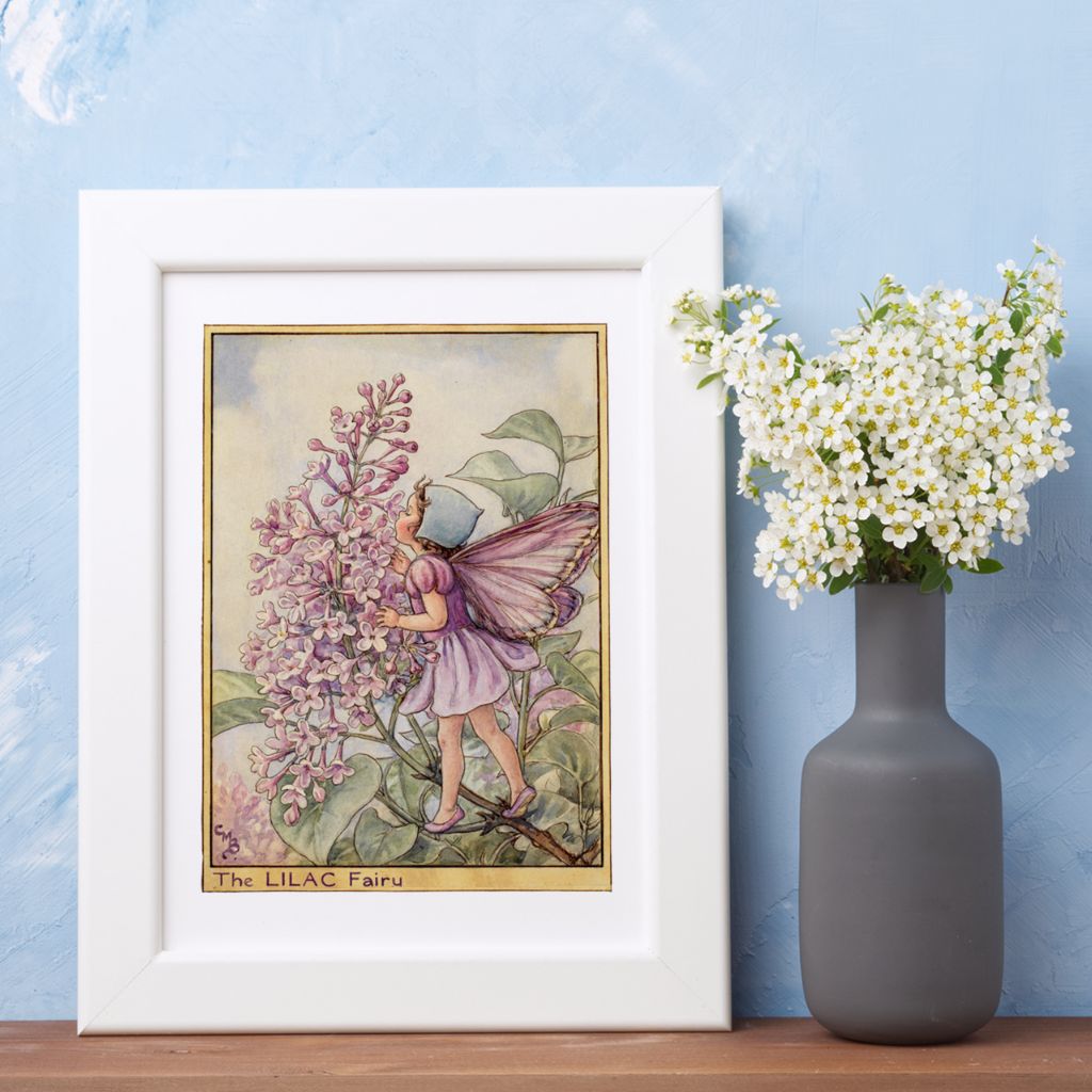 The Lilac Fairy 11x14" Art Print