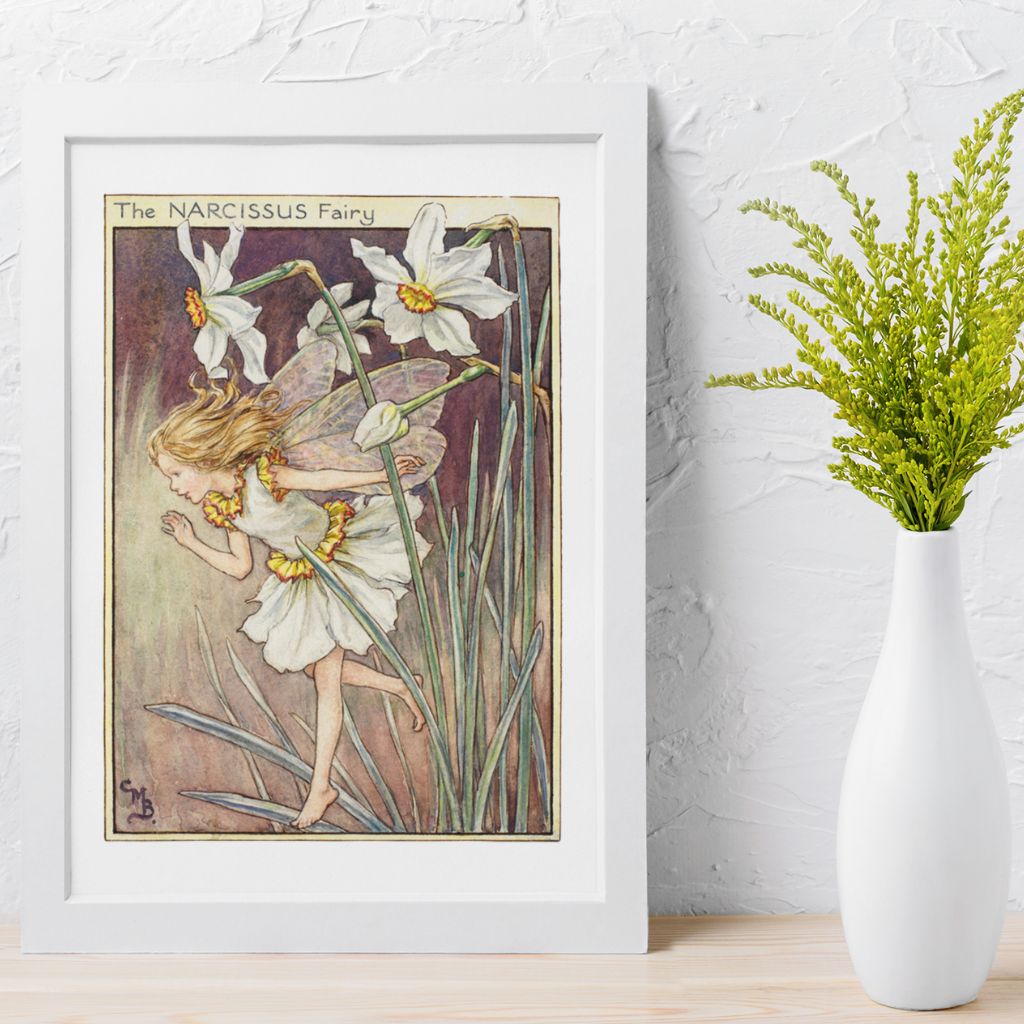 The Narcissus Fairy 11x14" Art Print
