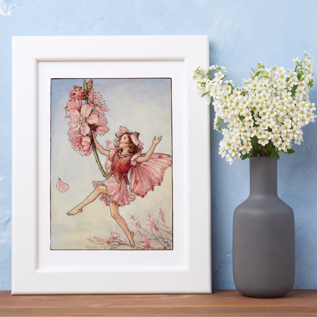 The Almond Blossom Fairy 11x14" Art Print