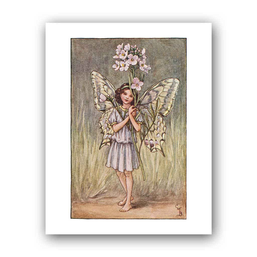 The Lady's Smock Fairy 11x14" Art Print