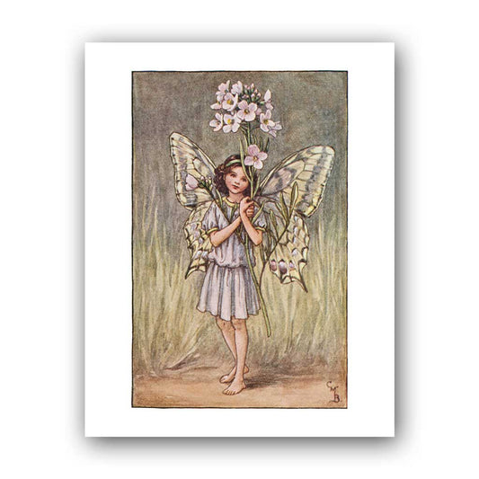 The Lady's Smock Fairy 11x14" Art Print