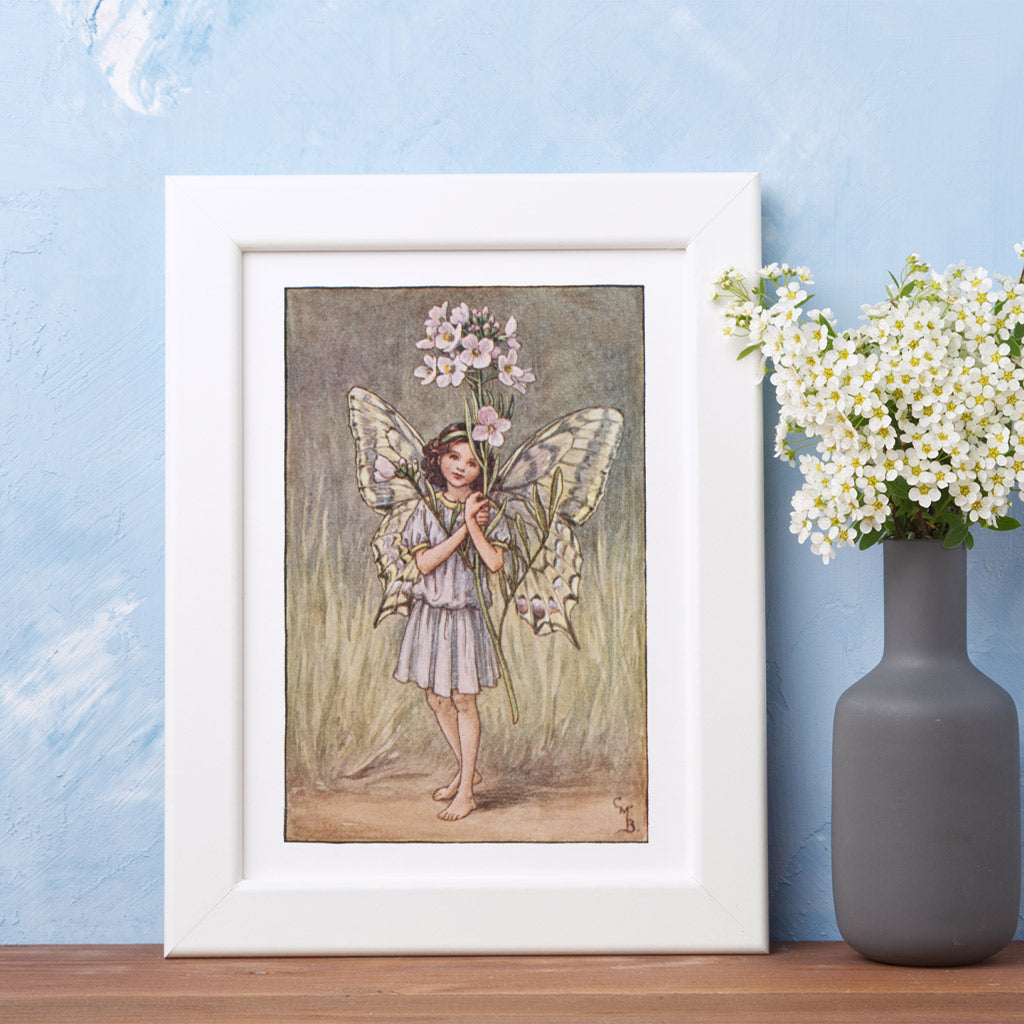The Lady's Smock Fairy 11x14" Art Print