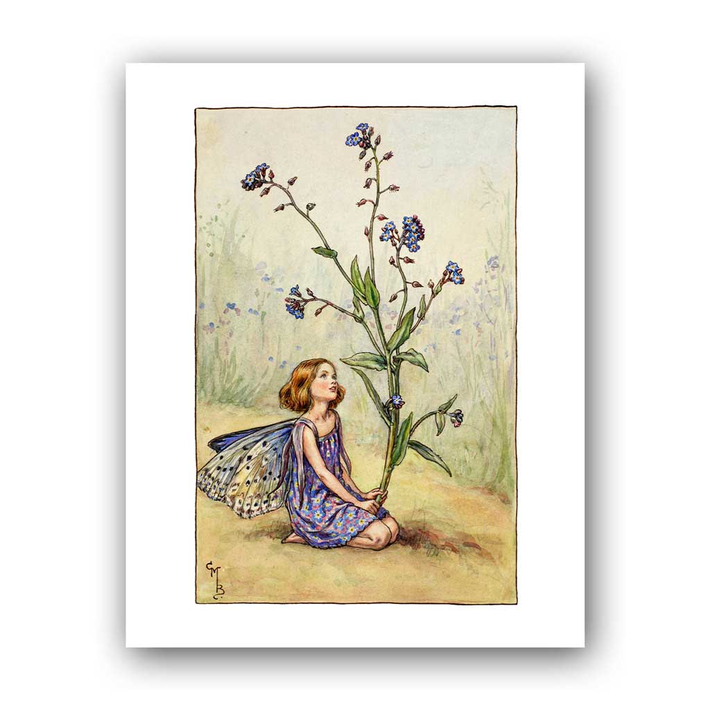 The Forget-me-not Fairy 11x14" Art Print