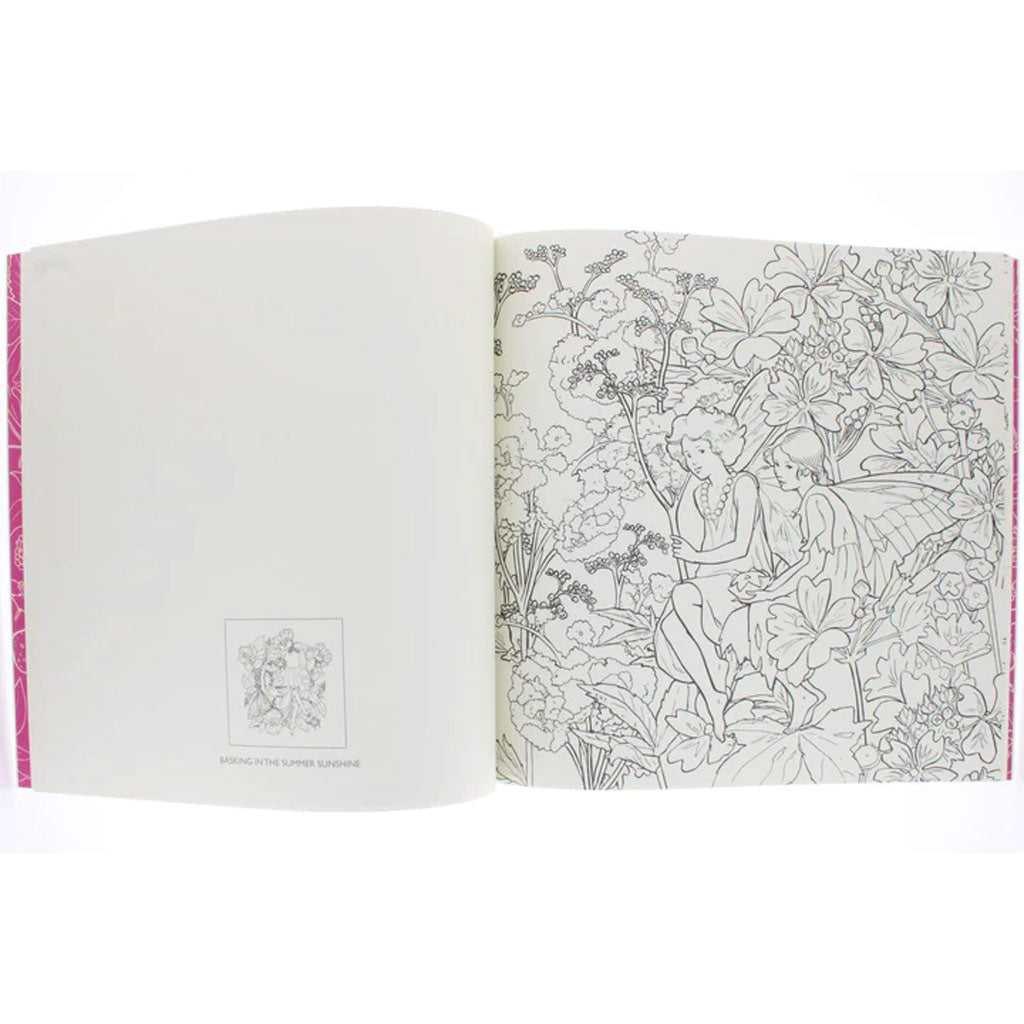 The Flower Fairies Colouring Book