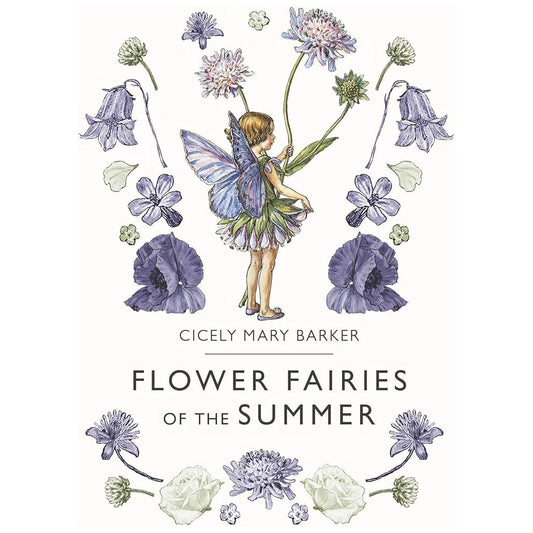 Flower Fairies of the Summer