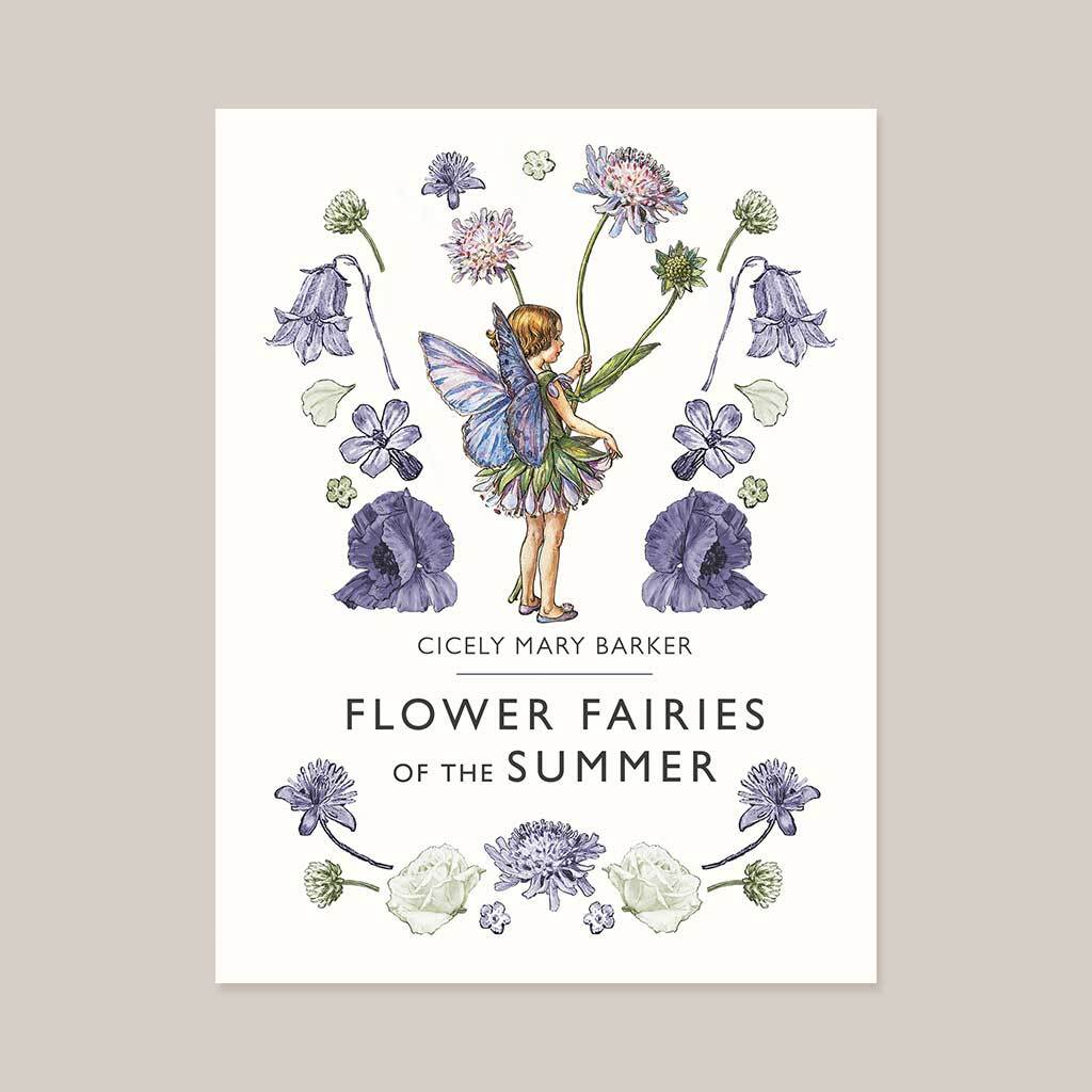 Flower Fairies of the Summer