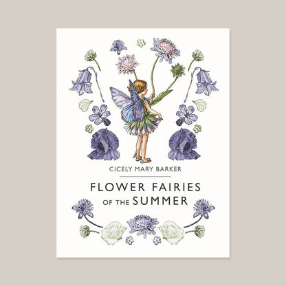 Flower Fairies of the Summer