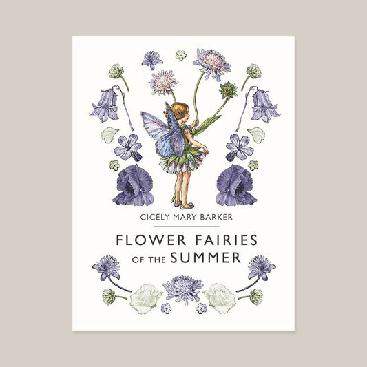 Flower Fairies of the Summer
