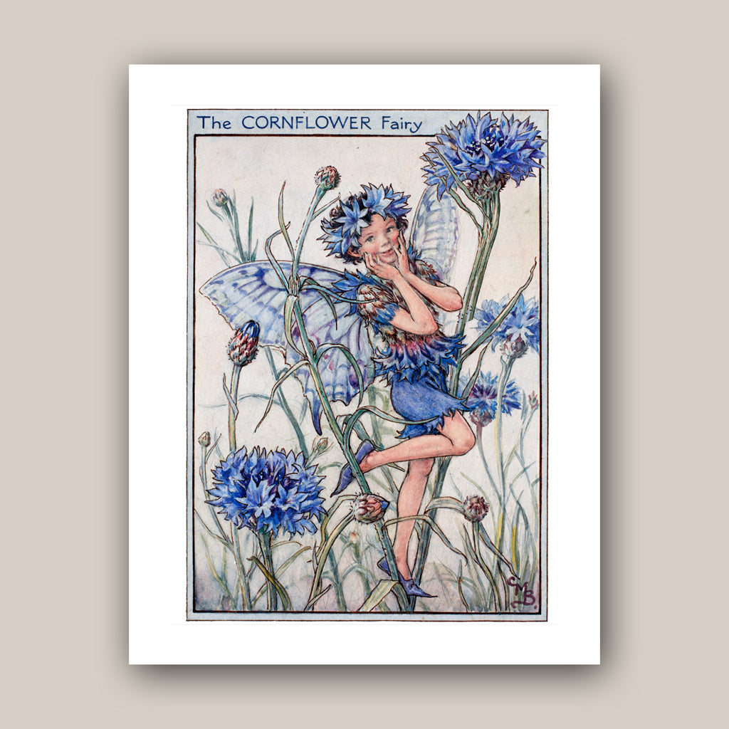 The Cornflower Fairy 11x14" Art Print