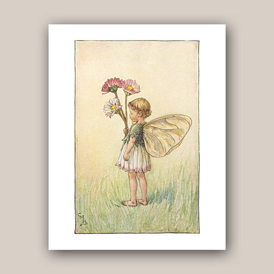 The Daisy Fairy 11x14" Art Print