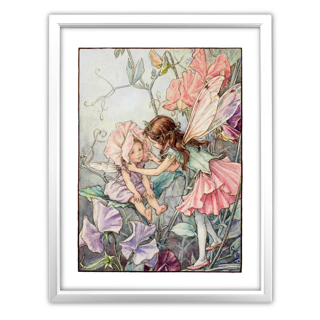 The Sweet Pea Fairies 11x14" Art Print