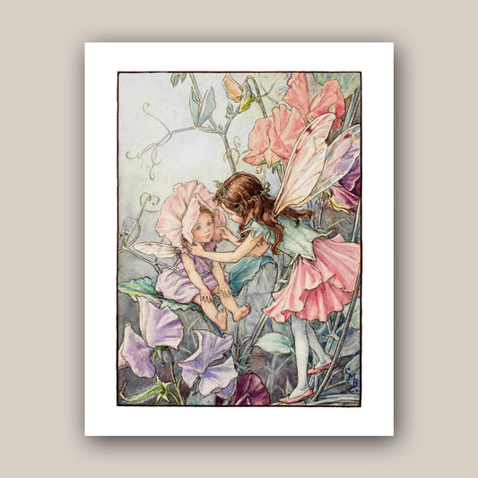The Sweet Pea Fairies 11x14" Art Print