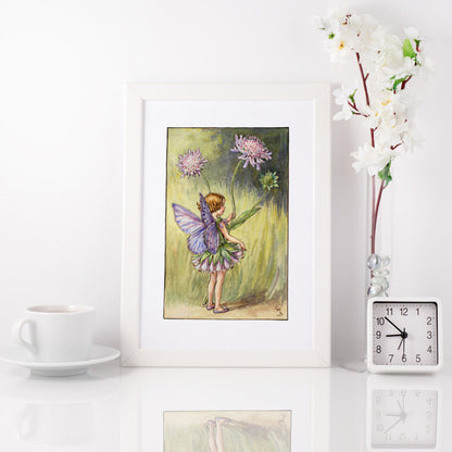 The Scabious Fairy 11x14" Art Print