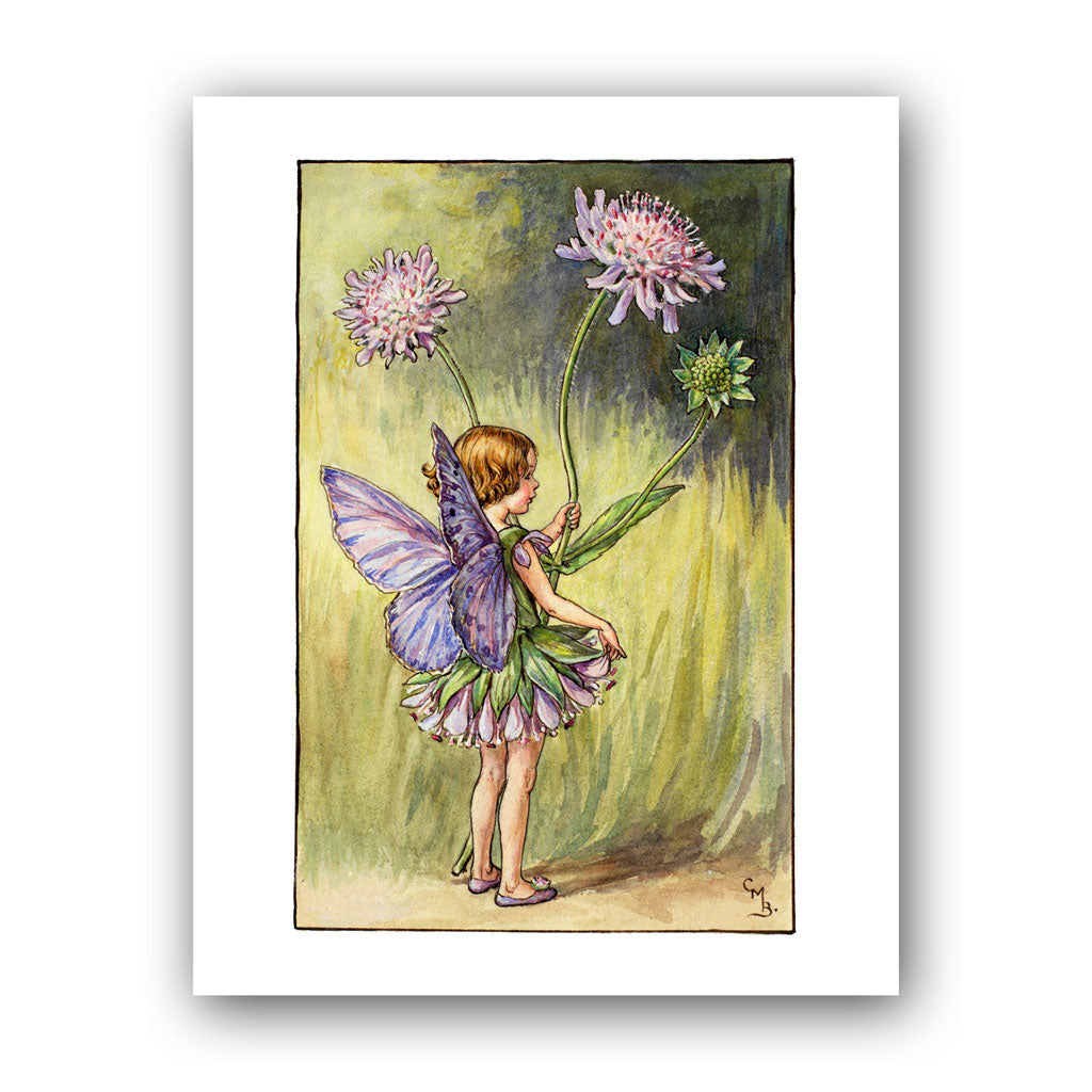 The Scabious Fairy Art Print - The Official Flower Fairies€ž¢ Shop ...
