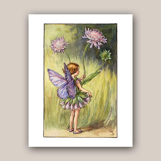The Scabious Fairy 11x14" Art Print