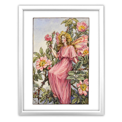 The Wild Rose Fairy 11x14" Art Print