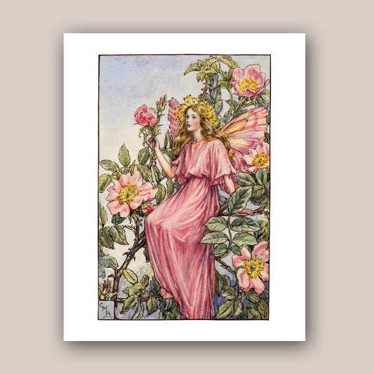 The Wild Rose Fairy 11x14" Art Print
