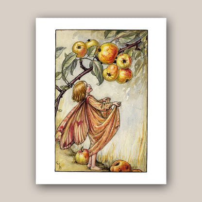 The Crab Apple Fairy 11x14" Art Print