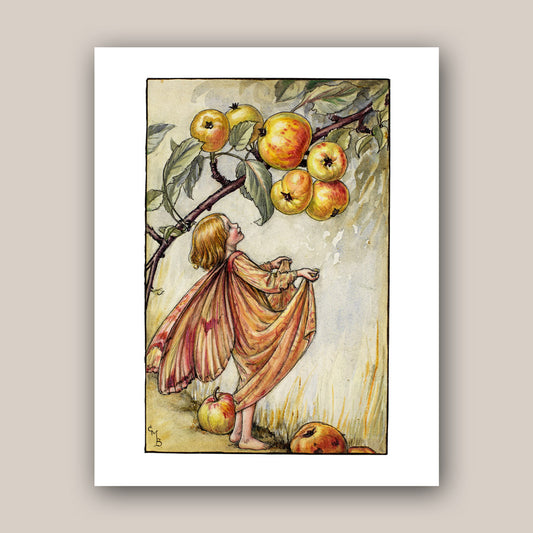 The Crab Apple Fairy 11x14" Art Print