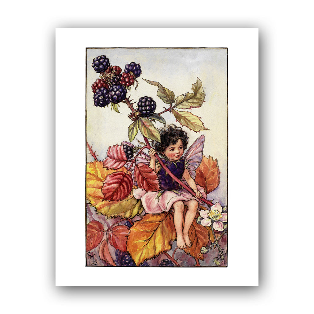 The Blackberry Fairy 11x14" Art Print