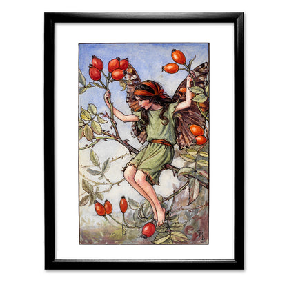 The Rose-Hip Fairy 11x14" Art Print