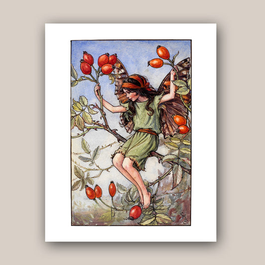 The Rose-Hip Fairy 11x14" Art Print