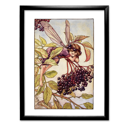 The Elderberry Fairy 11x14" Art Print