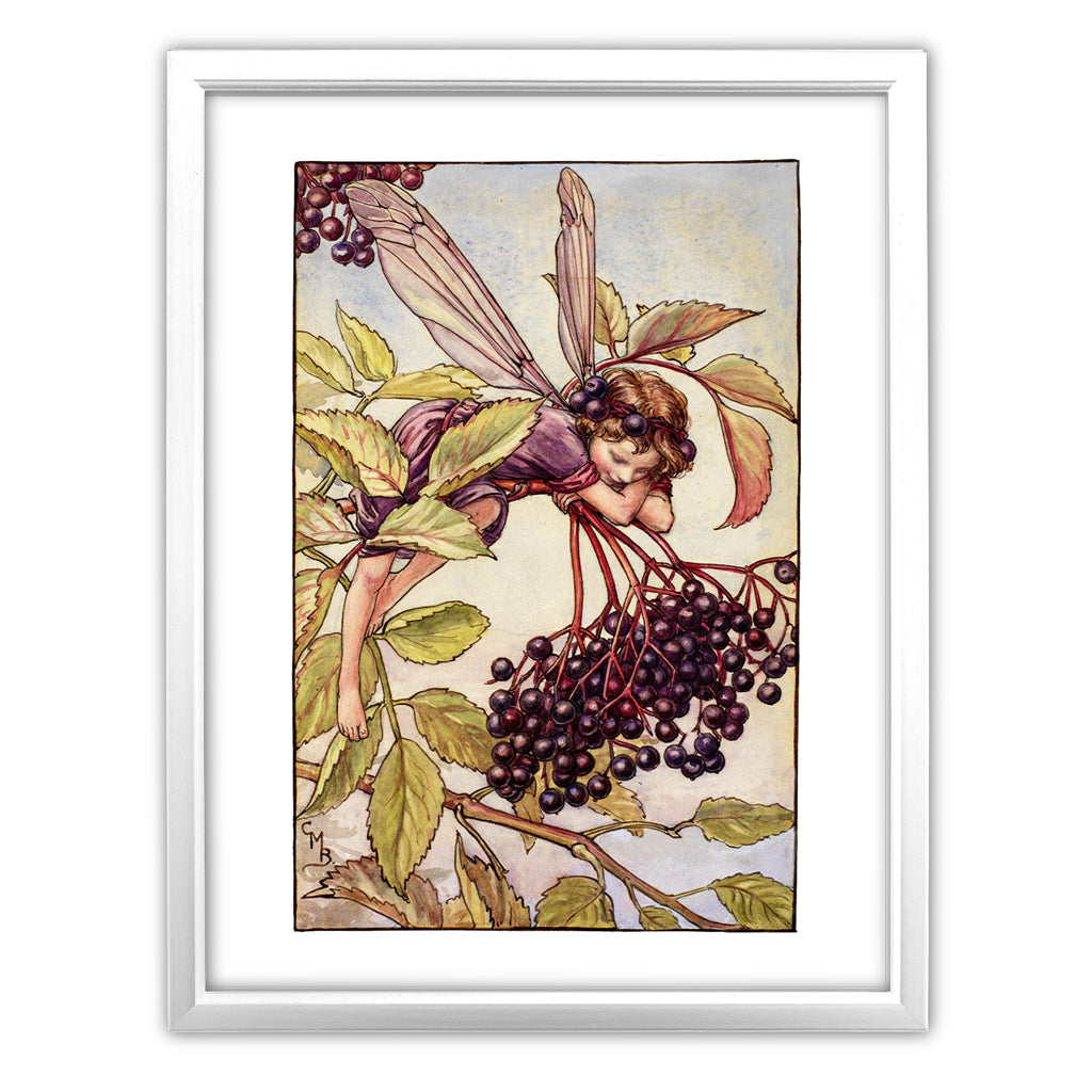 The Elderberry Fairy 11x14" Art Print