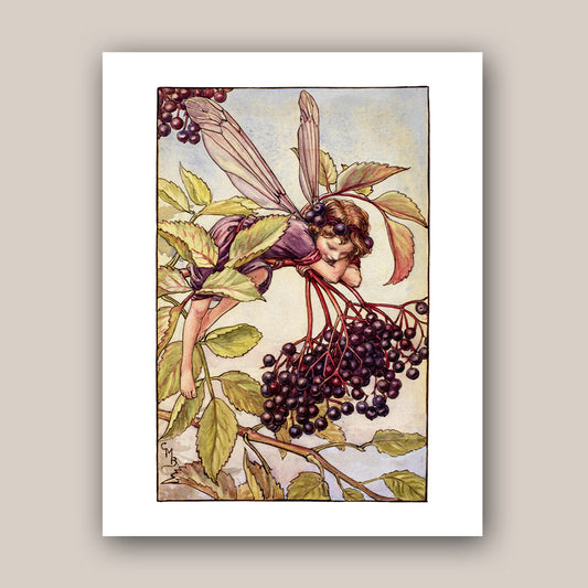 The Elderberry Fairy 11x14" Art Print
