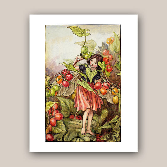The Black Bryony Fairy  11x14" Art Print