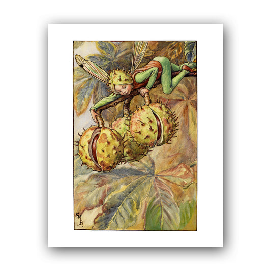 The Horse Chestnut Fairy 11x14" Art Print