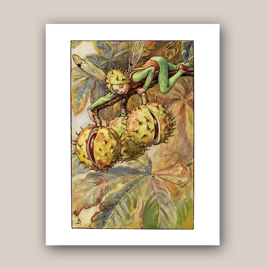 The Horse Chestnut Fairy 11x14" Art Print