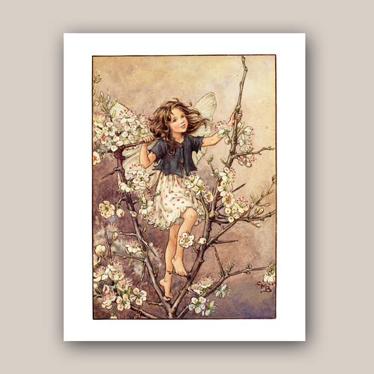 The Blackthorn Fairy 11x14" Art Print